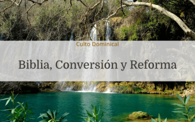 Biblia, Conversión y Reforma