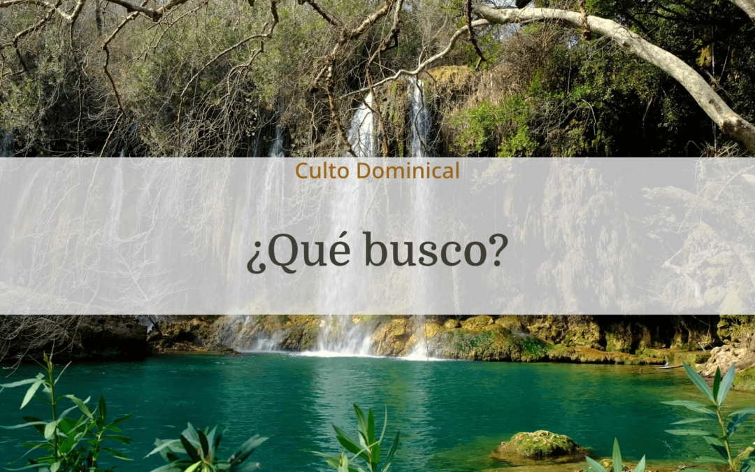 ¿Qué busco?