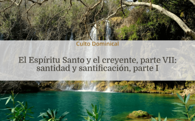 El Espíritu Santo y el creyente, parte VII: santidad y santificación, parte I