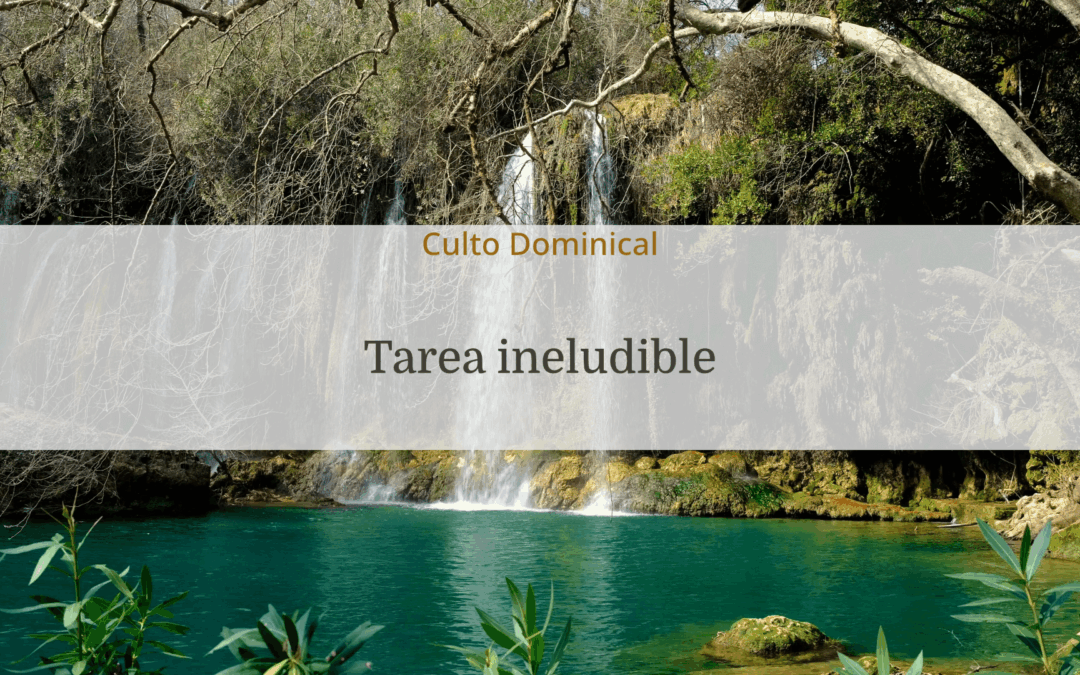 Tarea ineludible