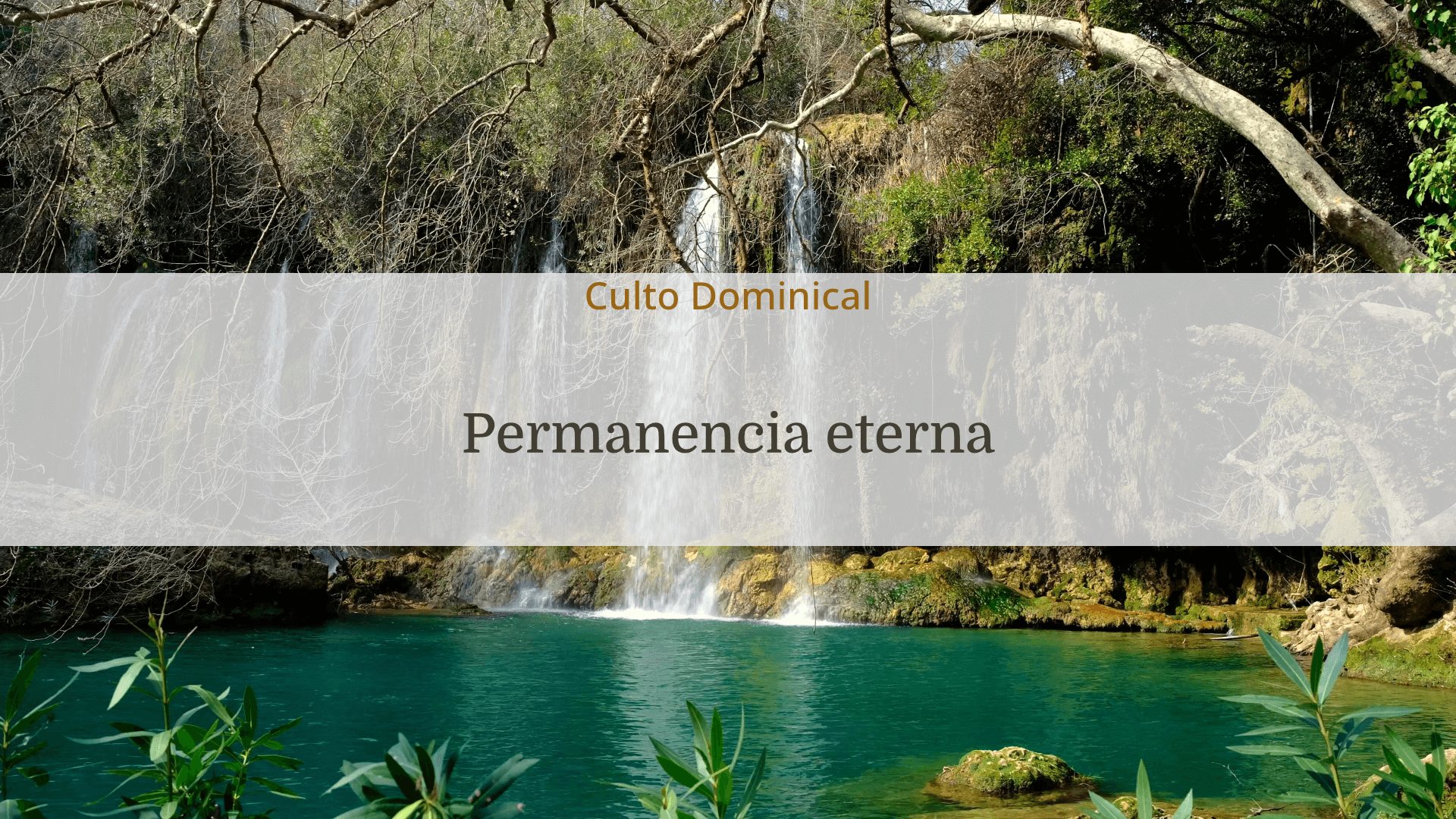 portada-permanencia-eterna