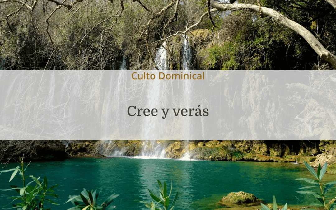 Cree y verás