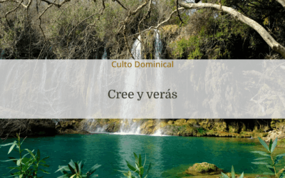Cree y verás