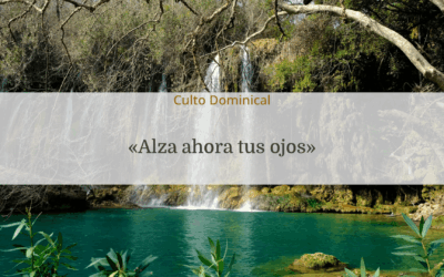 «Alza ahora tus ojos»