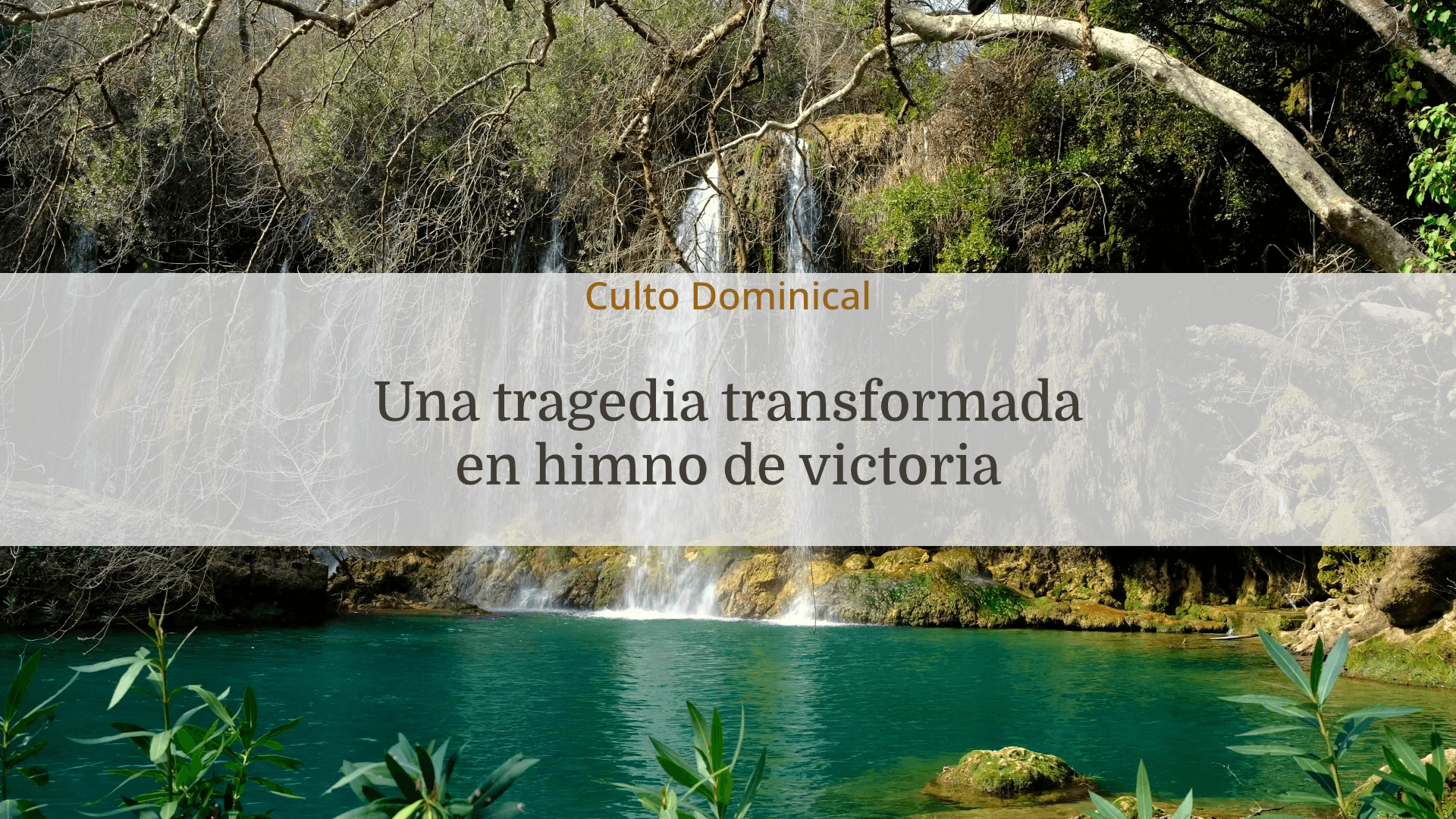 portada-una-tragedia-transformada-en-himno-de-victoria