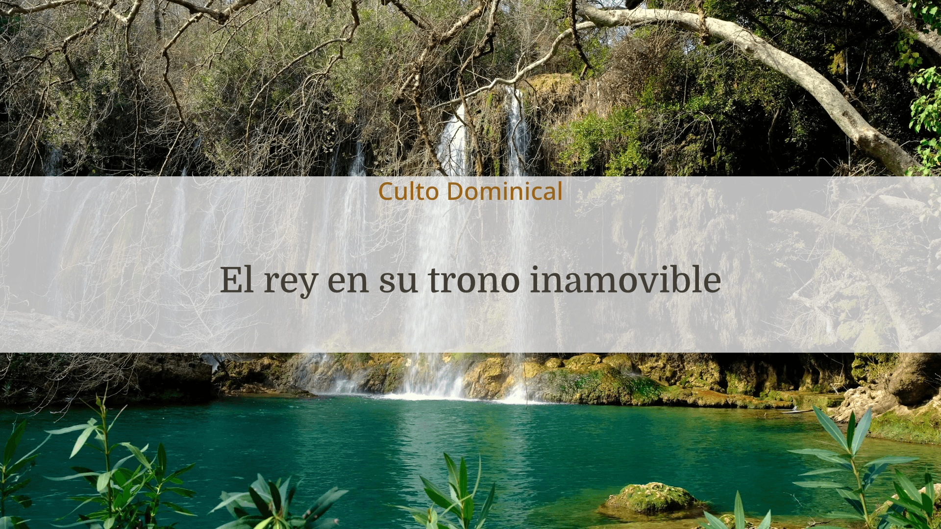 portada-el-rey-en-su-trono-inamovible