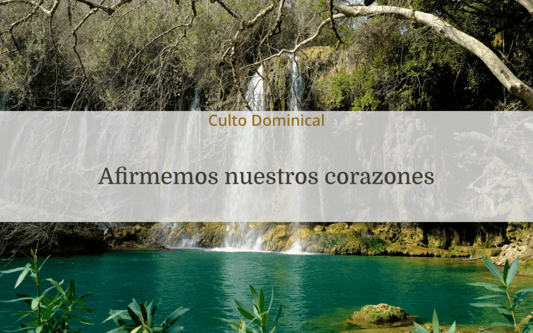 Afirmemos nuestros corazones